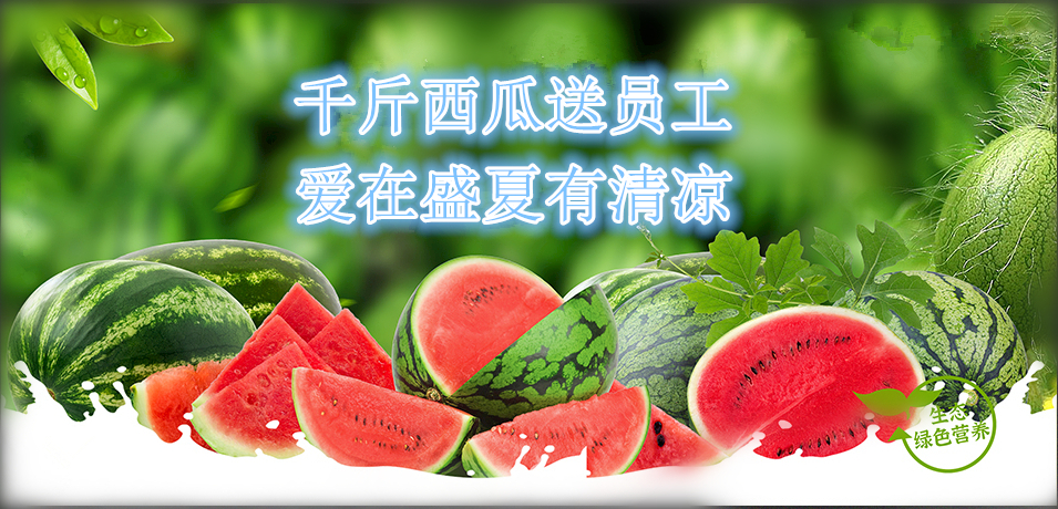 通達(dá)軟件公司： 千斤西瓜送員工，愛(ài)在盛夏有清涼